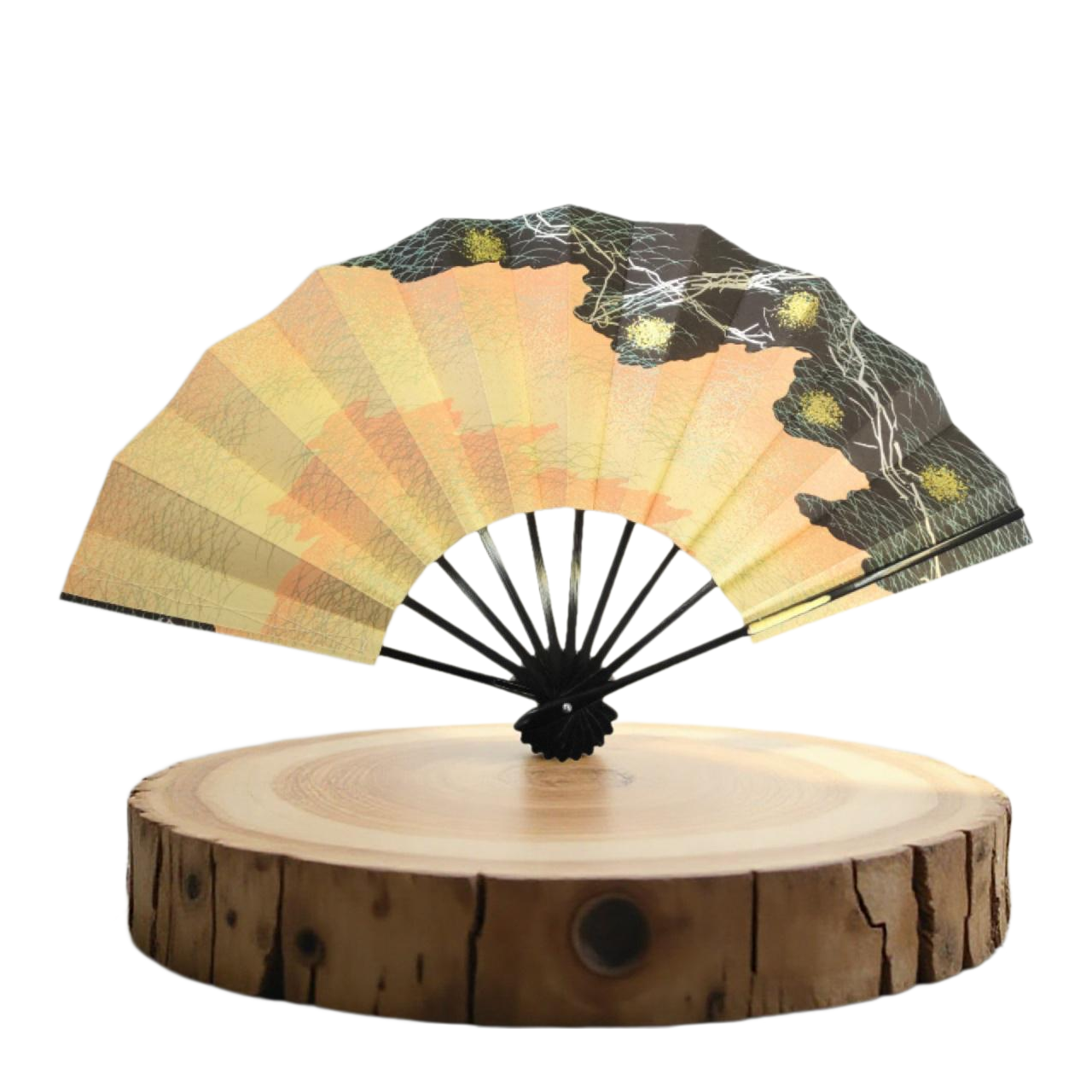 Folded Fan